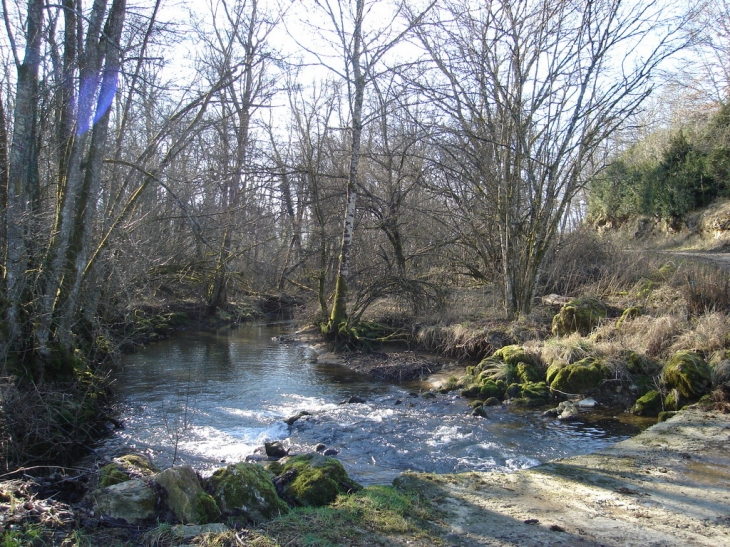 Ruisseau le bourney - Montfleur