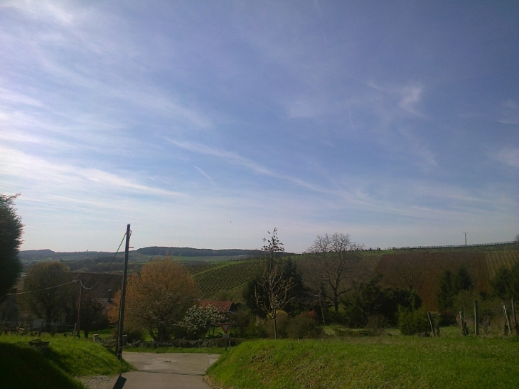  - Montigny-lès-Arsures