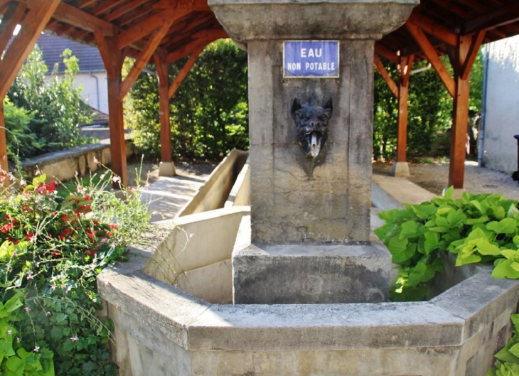 Le Lavoir - Mouchard