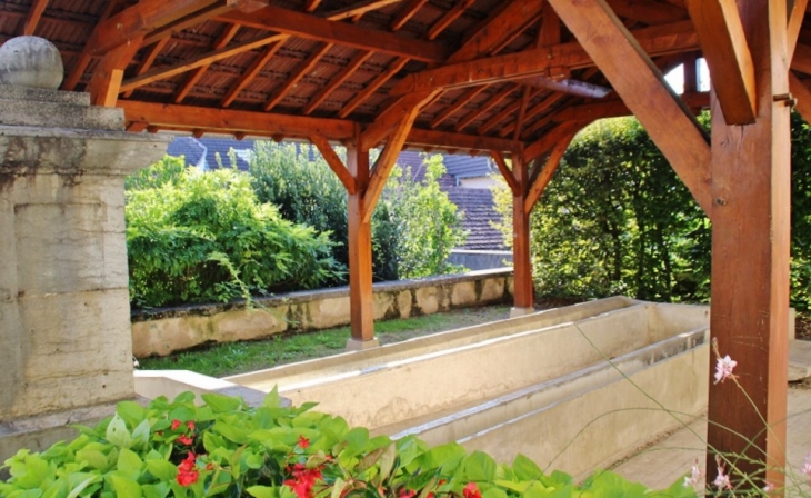 Le Lavoir - Mouchard