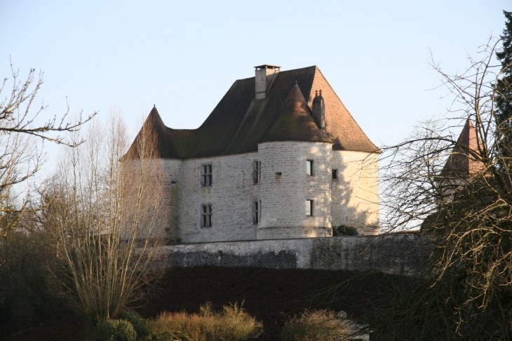 Château, fin du Moyen-Age et Renaissance - Mutigney