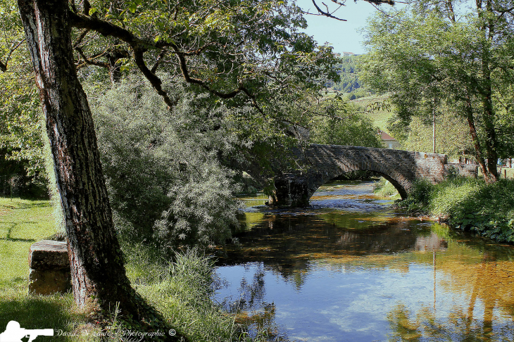 Pont de  pierres sur  la Seille - Nevy-sur-Seille