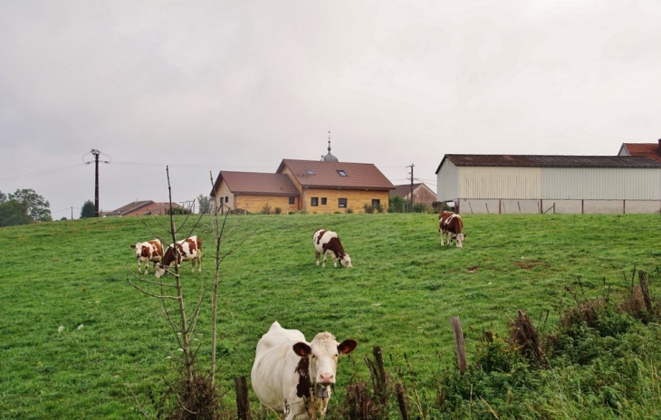 La Campagne - Onglières