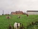 Photo précédente de Onglières La Campagne