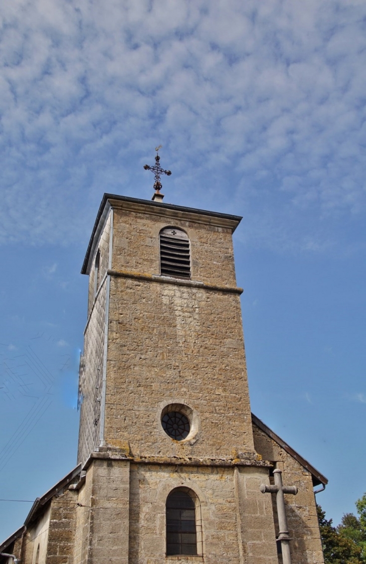 +église Saint Donat - Plasne