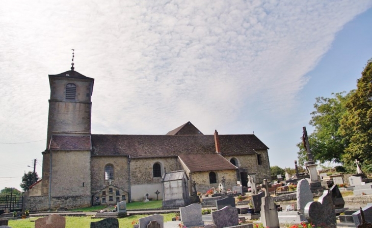 +église Saint Donat - Plasne