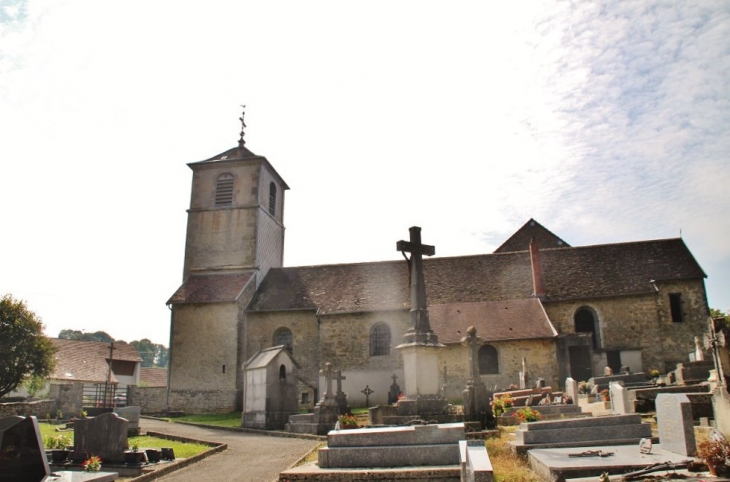 +église Saint Donat - Plasne