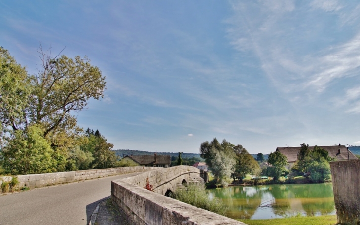 Le Pont 18 Em Siècle - Pont-du-Navoy