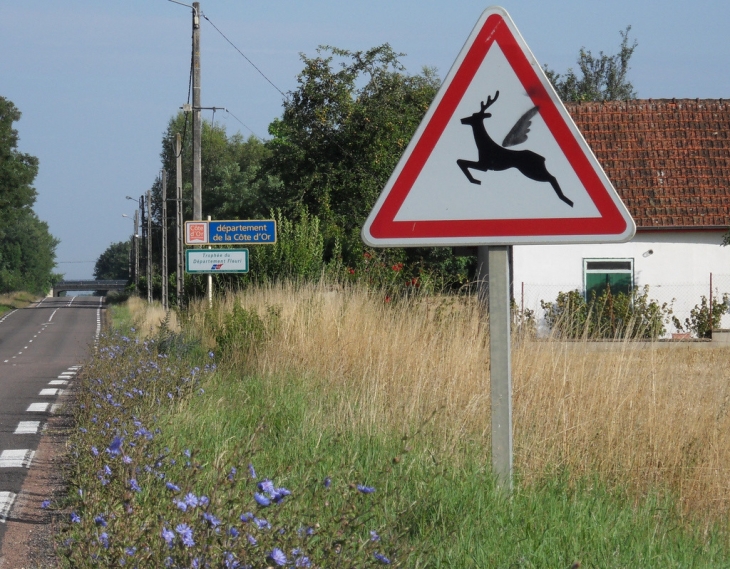 Signalisation particulière. - Saint-Aubin