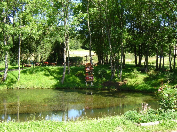 La mare - Saint-Laurent-la-Roche