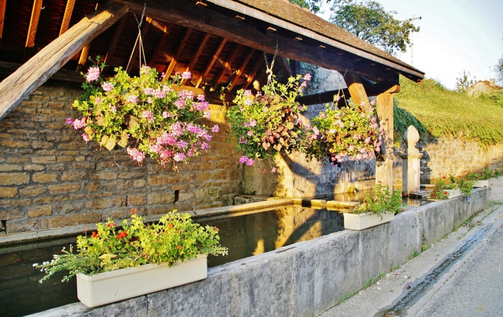 Le Lavoir - Saint-Lothain