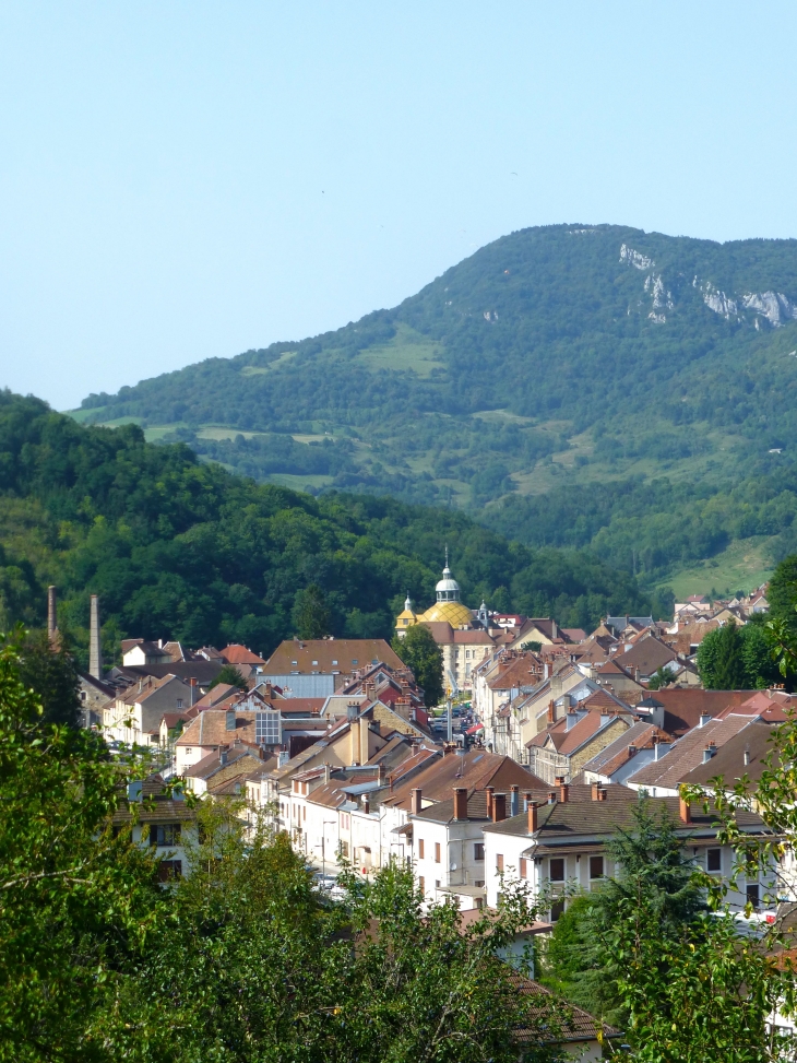 Vue de la ville depuis la côte de Bracon - Salins-les-Bains