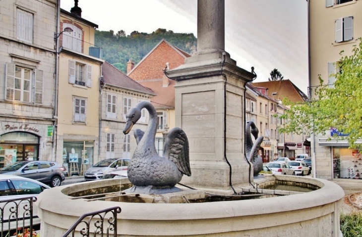 Fontaine ( détail ) - Salins-les-Bains