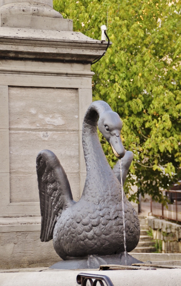 Fontaine ( détail ) - Salins-les-Bains