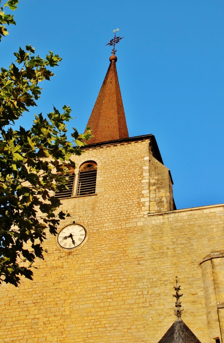 Collégiale Saint-Anatoile - Salins-les-Bains