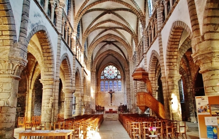 Collégiale Saint-Anatoile - Salins-les-Bains