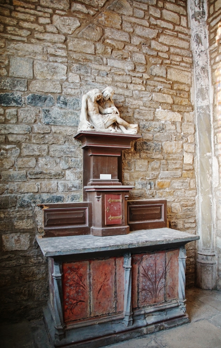 Collégiale Saint-Anatoile - Salins-les-Bains