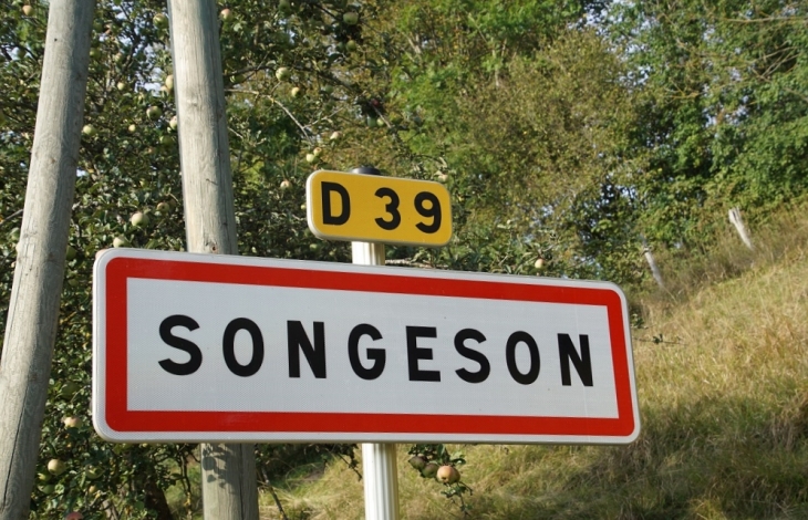  - Songeson