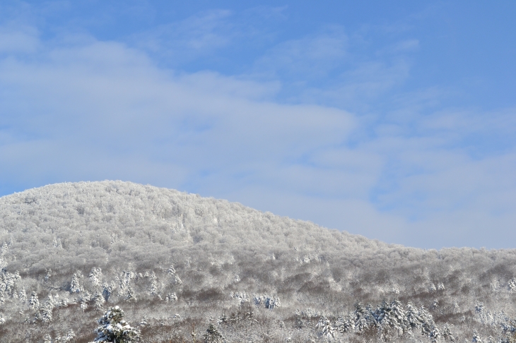 Le fayé de Grosmagny en hiver 