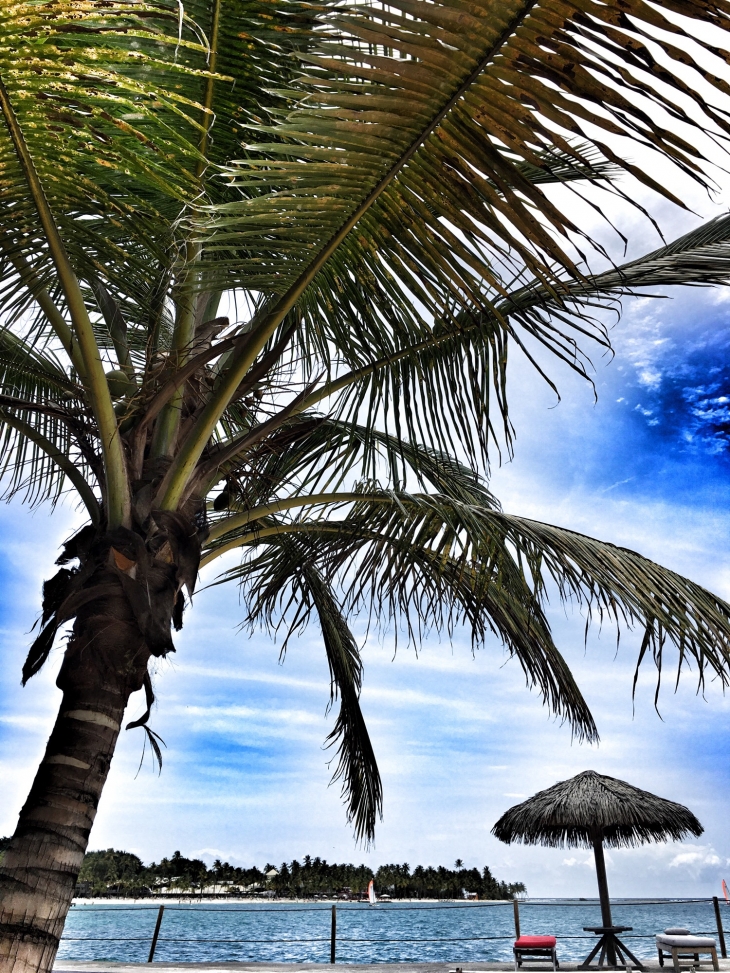 Toubana beach avec vue sur la plage club med de Sainte Anne - Sainte-Anne