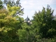 l'église vue de La Roche