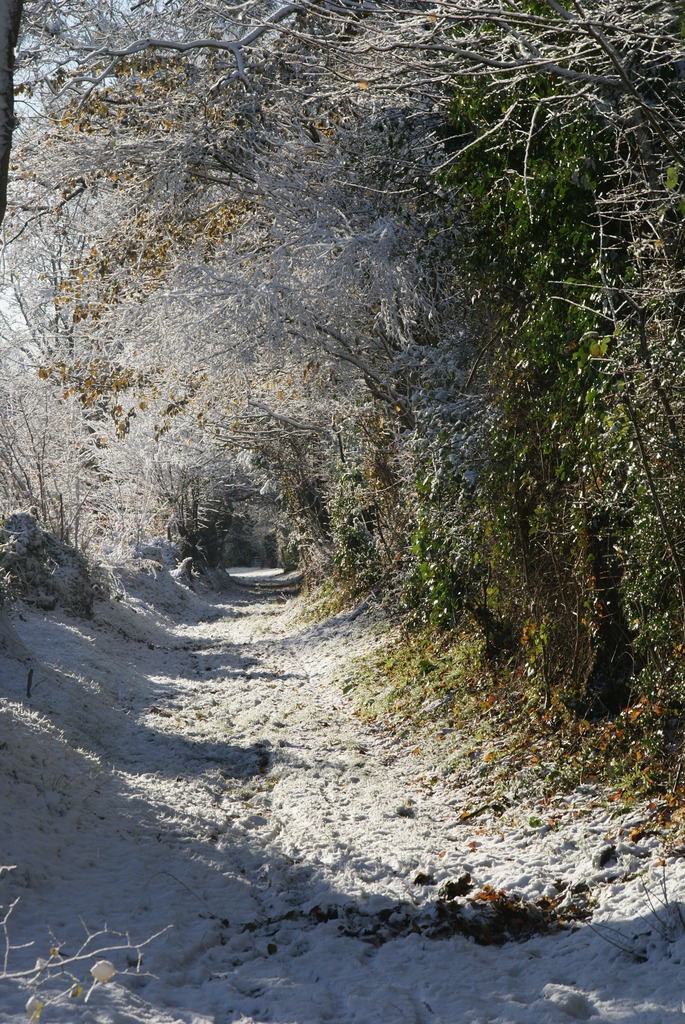 Chemin en hiver à Bosc Regnoult en Roumois - Bosc-Renoult-en-Roumois