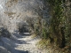 Photo précédente de Bosc-Renoult-en-Roumois Chemin en hiver à Bosc Regnoult en Roumois