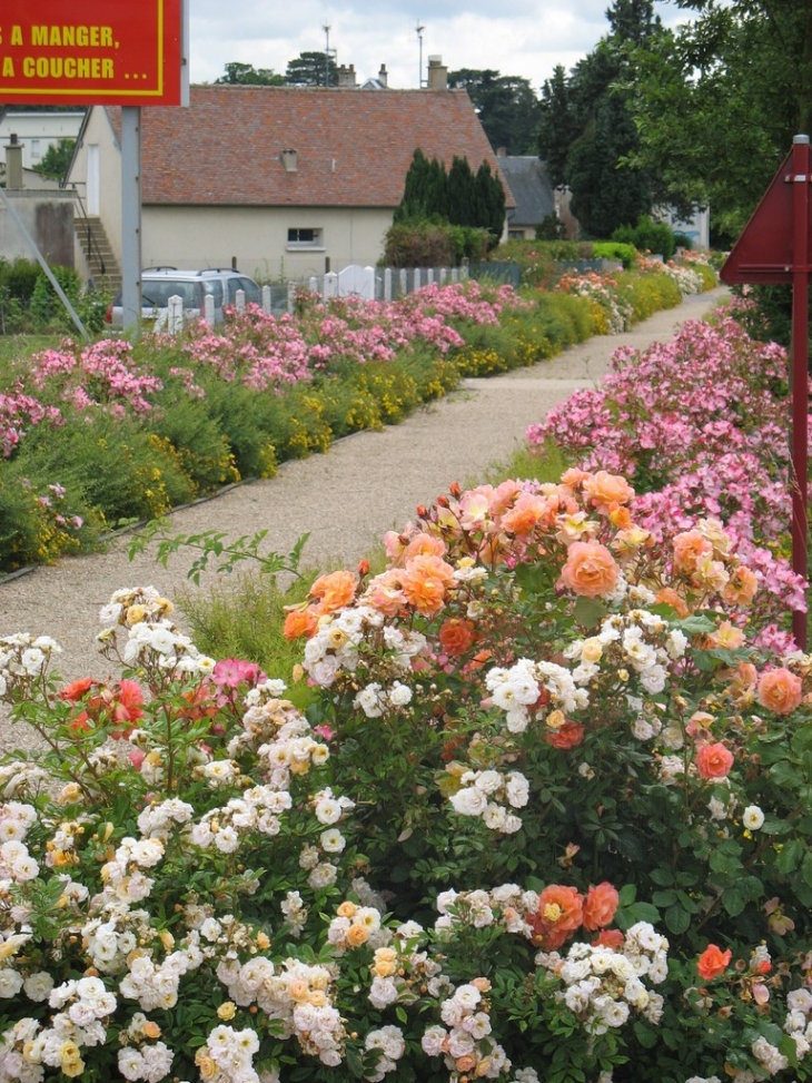 Une première fleur pour Breteuil...bien méritée !