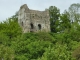 Photo suivante de Brionne Brionne - ruines du donjon du château  XIème
