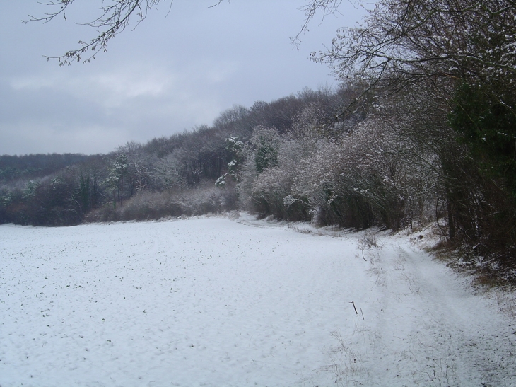 Ruffey sous la neige 2004 - Caillouet-Orgeville