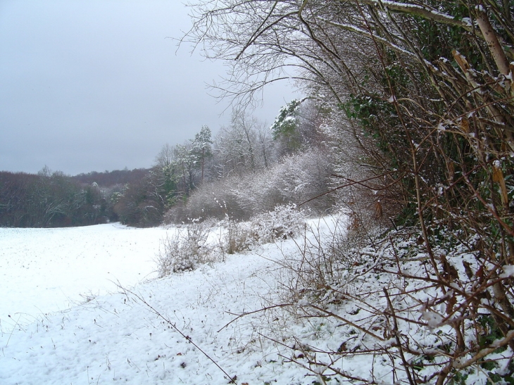 Ruffey sous la neige 2004 - Caillouet-Orgeville