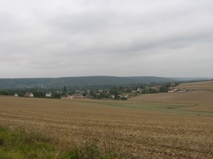 Champenard vue générale