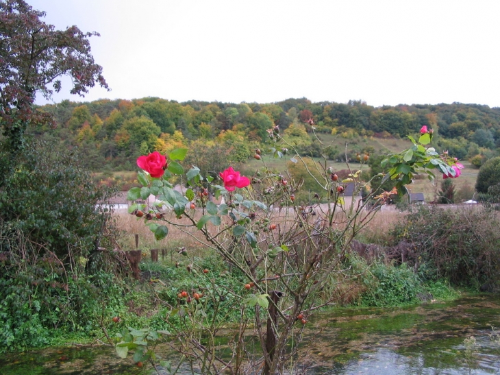 Les coteaux - Fontaine-sous-Jouy