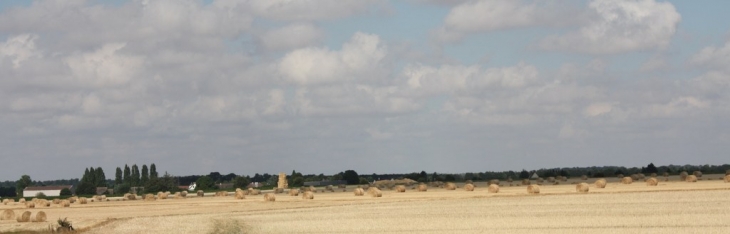 LES MOISSONS - Gauville-la-Campagne