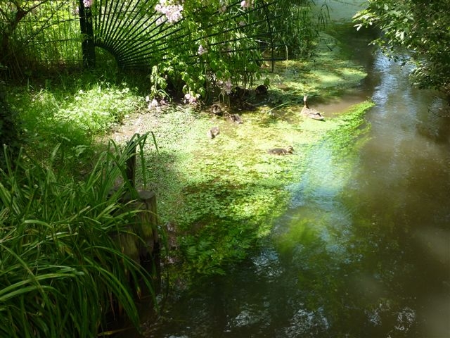 Maison de Claude Monet - Giverny