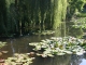 Giverny