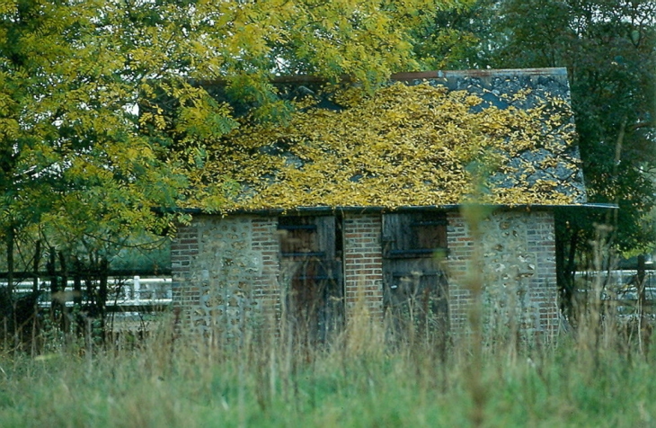 Derrière l'ancienne école - Gouttières