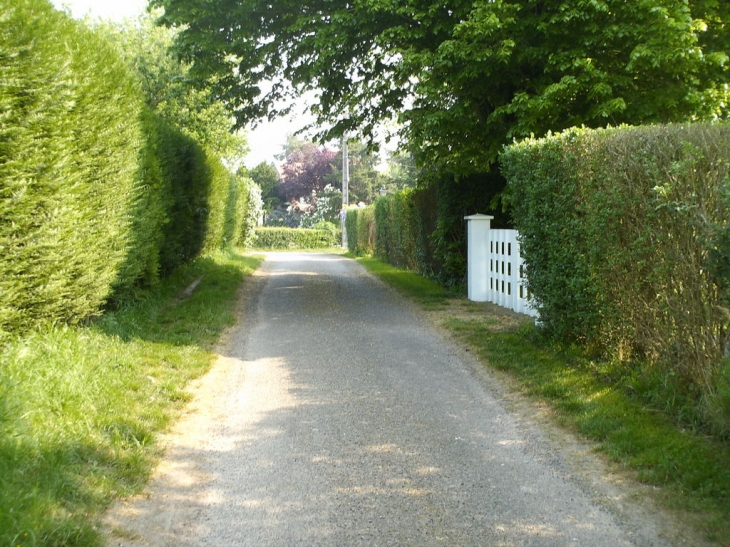 Sentier - Guernanville