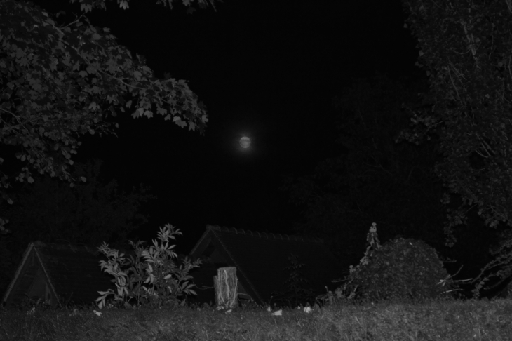 La nuit vue de mon jardin  - La Heunière