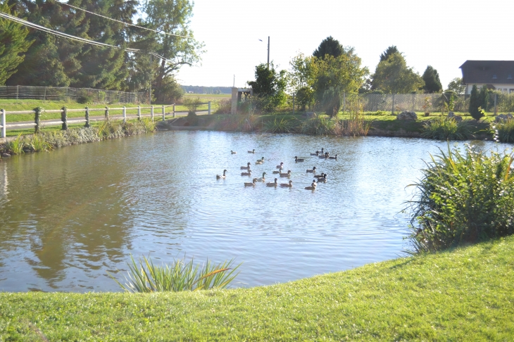 La marre aux canards  - La Heunière