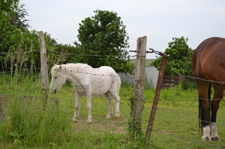  - La Heunière