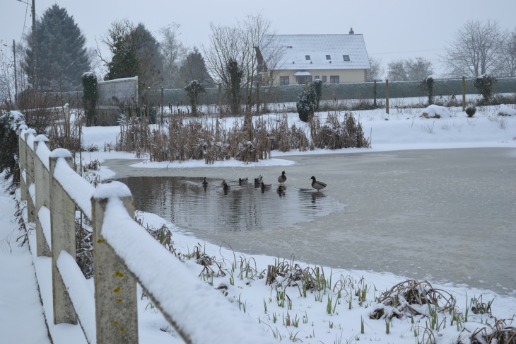 Lescanards sous la neige  - La Heunière