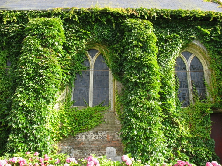 Eglise Saint-Pierre recouverte de feuillage - Le Bosc-Roger-en-Roumois