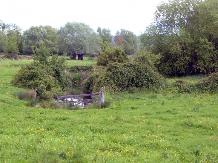 Dans le marais - Marais-Vernier