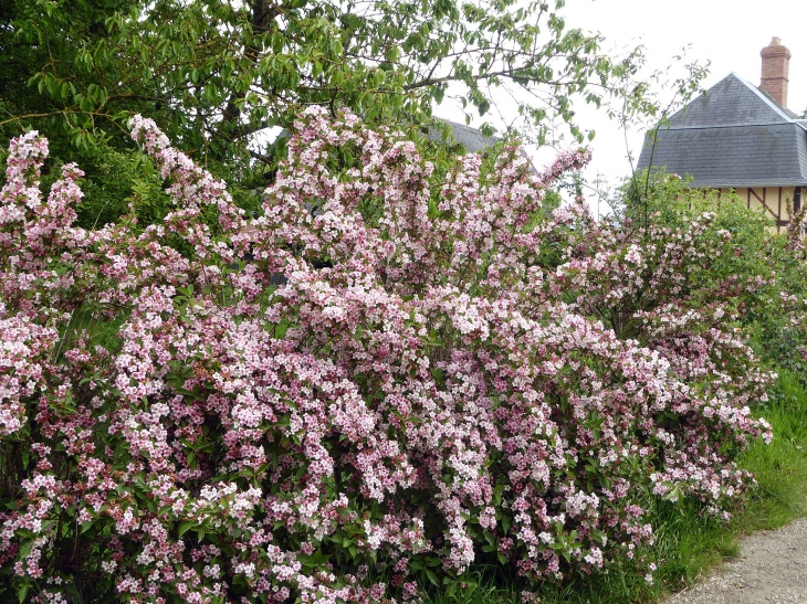 Sur le chemin du Roy - Marais-Vernier