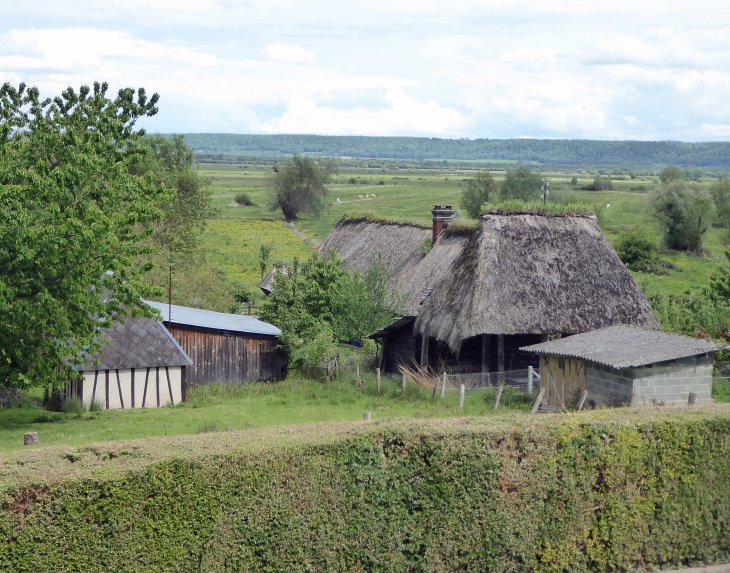 Vue sur les toits de chaume - Marais-Vernier