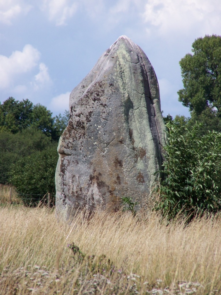 Menhir dit : Pierre de Gargantua - Neaufles-Auvergny