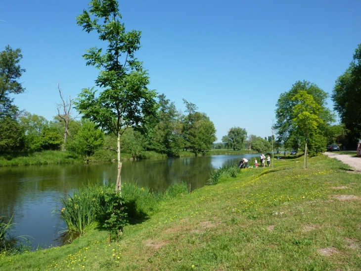 Bords de l'Eure - Pont-de-l'Arche