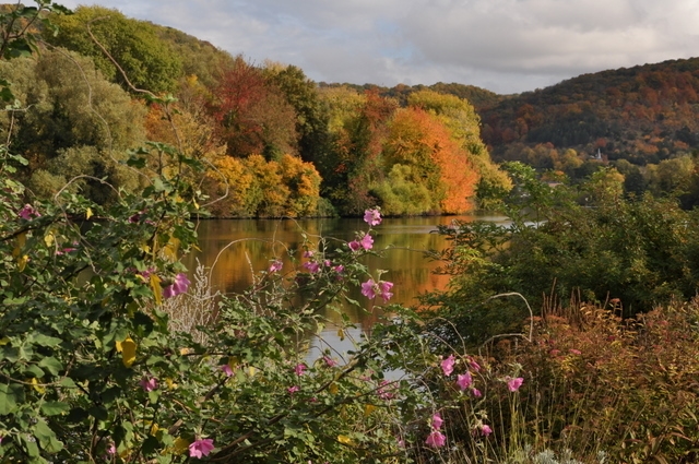 Jardin du peintre devant la Seine Automne - Poses