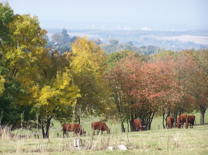 Brume automnale - Saint-Étienne-sous-Bailleul